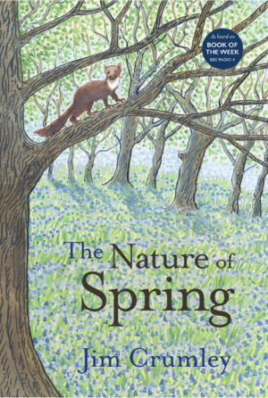 The Nature of Spring (Paperback)
