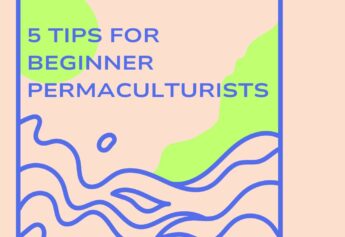 Five tips for beginner permaculturists