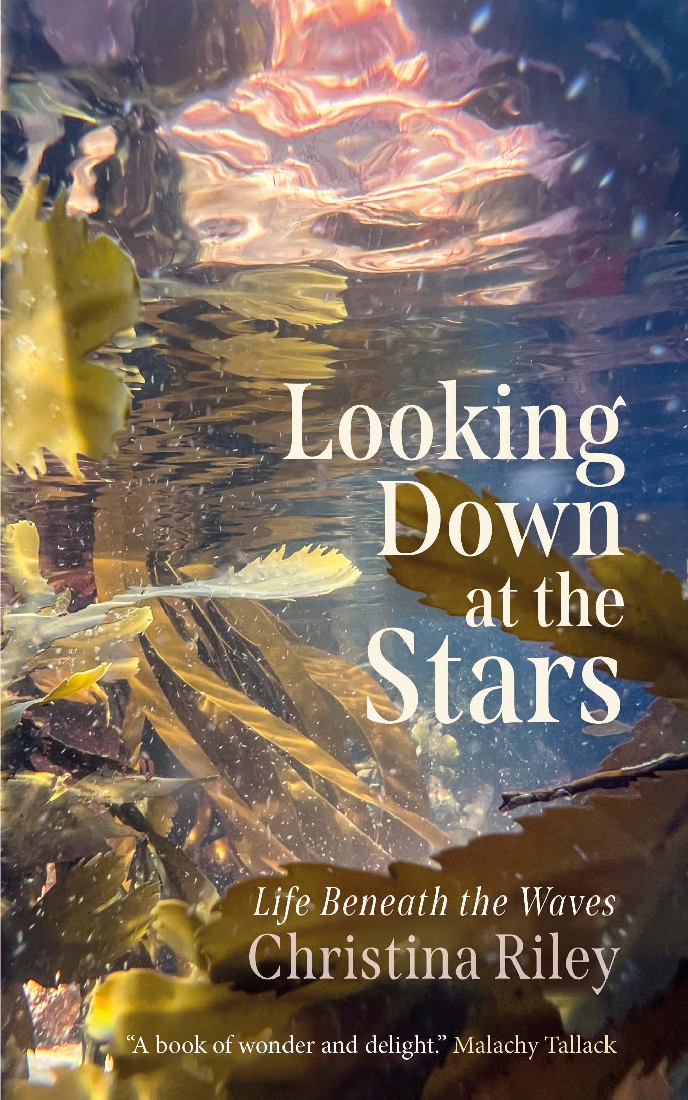 Looking Down at the Stars