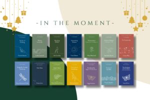 In the Moment bundle