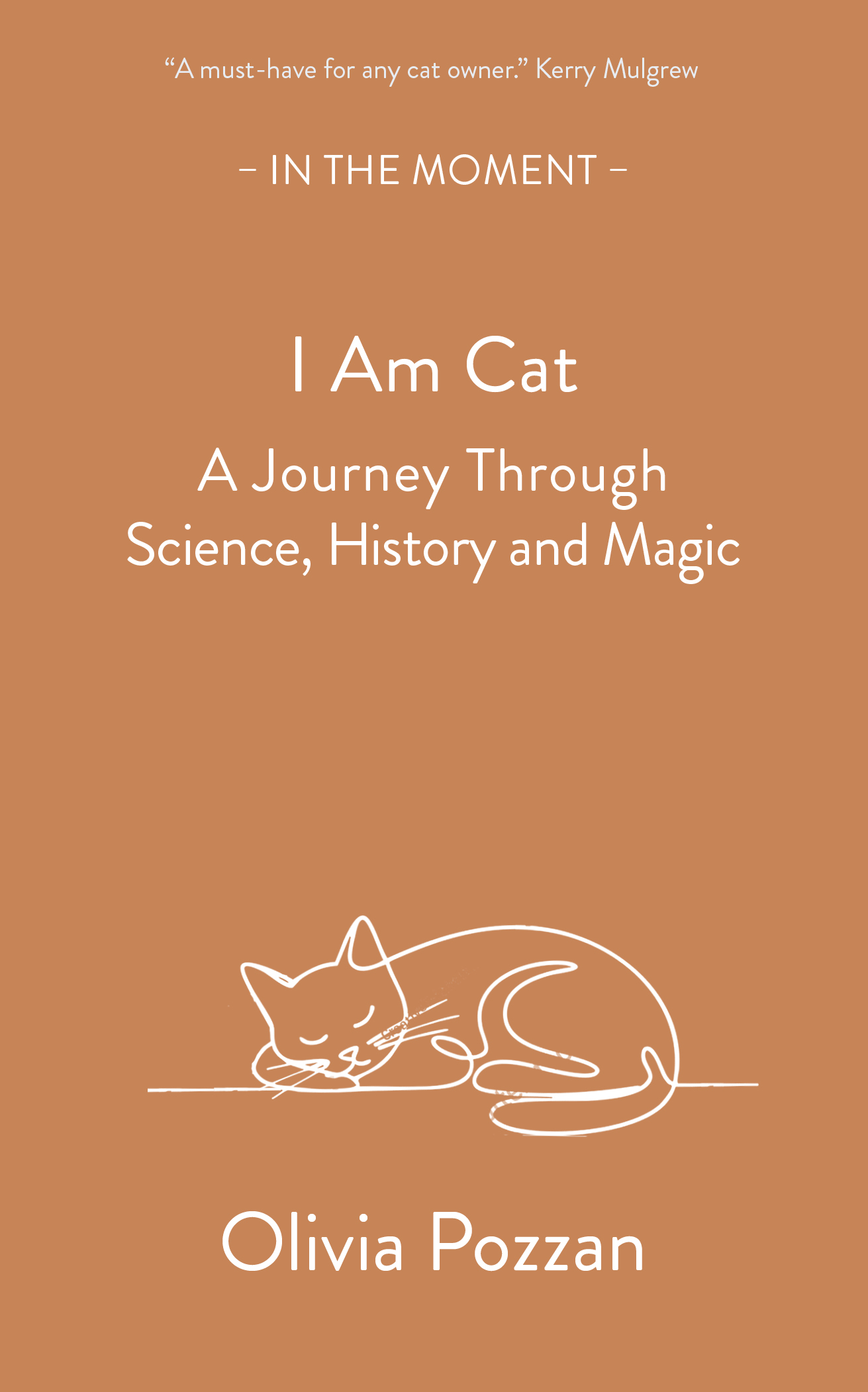I Am Cat